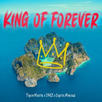 King of Forever by Taylor Martin