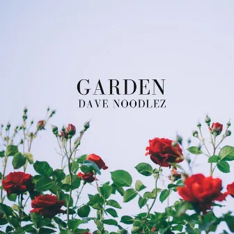 Garden by Dave Noodlez