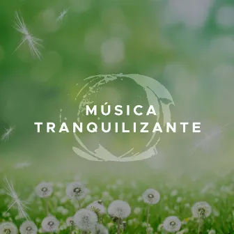 Musica Tranquilizante - Combatir Estrés Crónico de tu Vida y Ansiedad by Non Stop Music Club