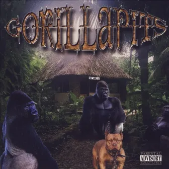 Gorilla Pits by Gorilla Pits