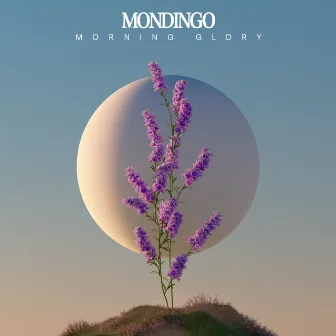 Morning Glory by Mondingo