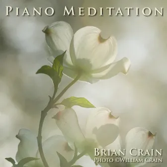 Piano Meditation Music by 1 Hour Music