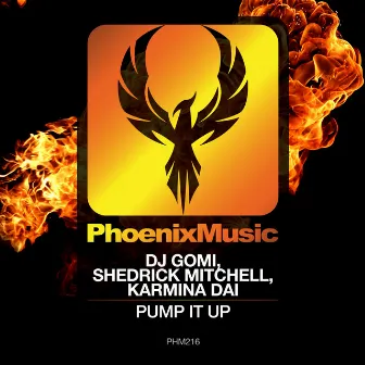 Pump It Up by Shedrick Mitchell