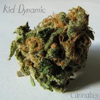 Cannabis by Kid Dynamic