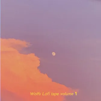 Wolfs Lofi Tape, Vol. 1 by Wwoolfyy