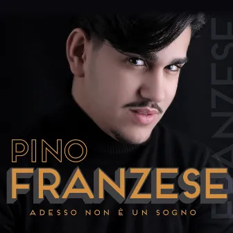 Adesso non è un sogno by Pino Franzese