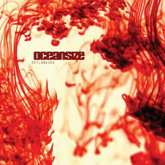 Effloresce by Oceansize