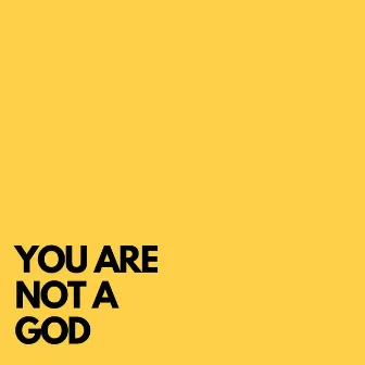 YOU ARE NOT A GOD by Sammy Veins