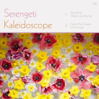 Kaleidoscope by Serengeti