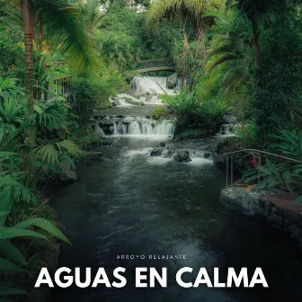 Aguas En Calma: Arroyo Relajante by El centro de relajación