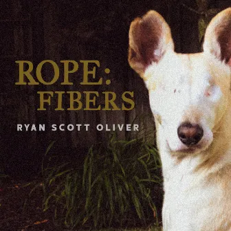 Rope: Fibers by Ryan Scott Oliver