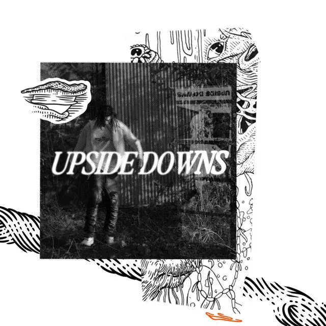 UPSIDE DOWNS