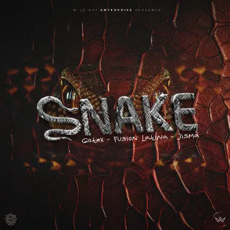 Snake by Fusion Latina