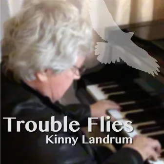 Trouble Flies by Kinny Landrum