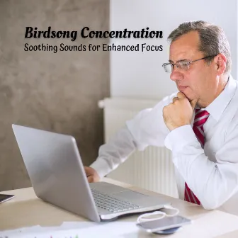 Birdsong Concentration: Soothing Sounds for Enhanced Focus by Bird Sound Collectors