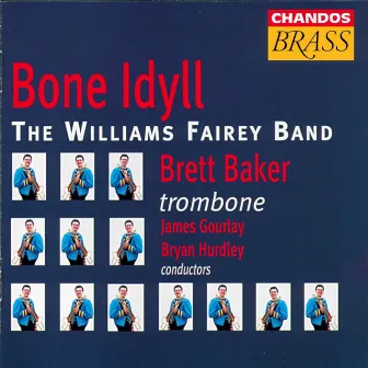 Bone Idyll by Williams Fairey Band