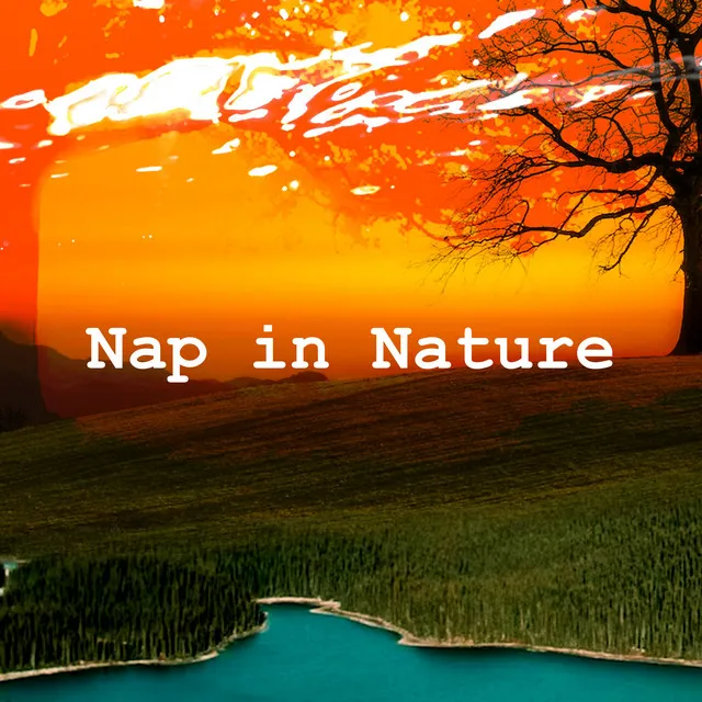 Nap in Nature