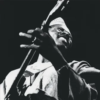 The Source by Ali Farka Touré