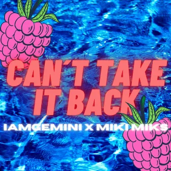 CAN'T TAKE IT BACK by IAMGEMINI