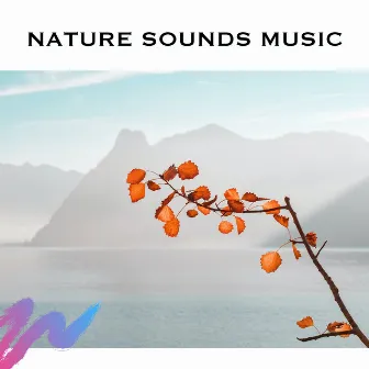 Nature Sounds Music by Loopable Radiance