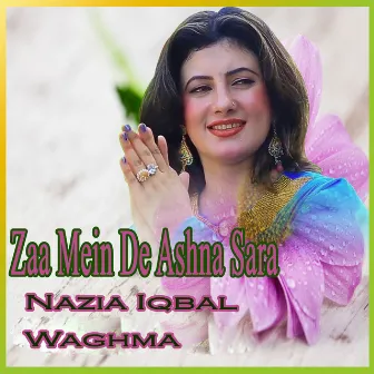 Zaa Mein De Ashna Sara by Waghma