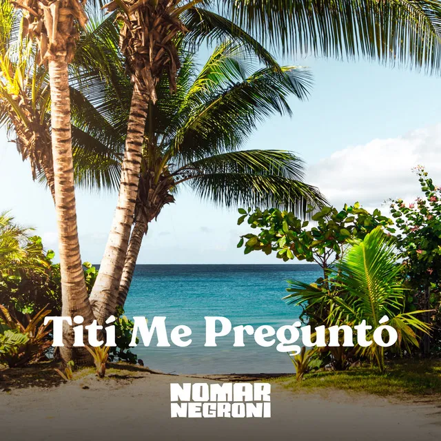 Tití me preguntó (Instrumental Version)