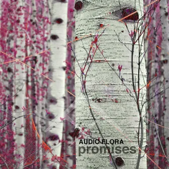 Promises by 