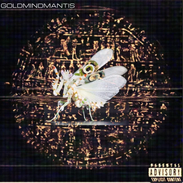 Goldmindmantis