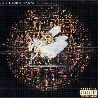 Goldmindmantis by Talaj