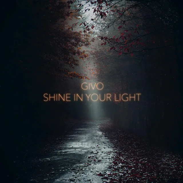 Shine In Your Light