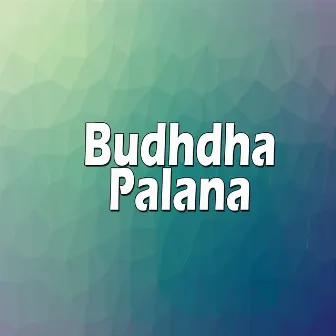 Budhdha Palana by Vishwas Gawale