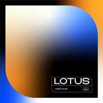 Lotus by Reas Produce