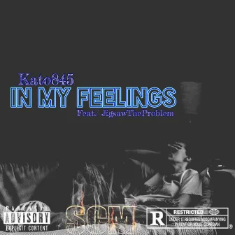 In My Feelings by Kato845