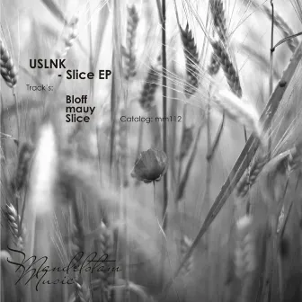 Slice EP by USLNK