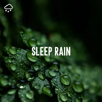 Sleep Rain by Relaxing Rain Recordings