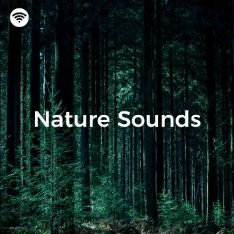 Nature Sound: Tranquil Escape by Organic Nature Sounds