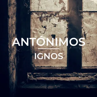 Antónimos by Ignos