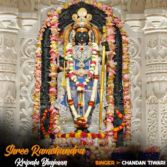 Shree Ramchandra Kripalu Bhajman by Chandan Tiwari