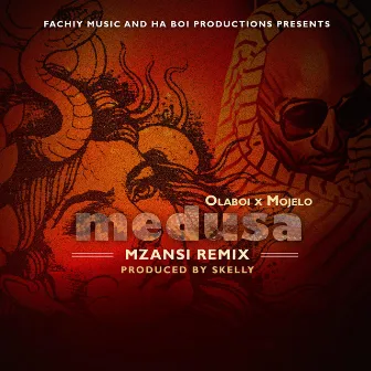 Medusa Mzanzi Remix (with Ola Boi) by Mojelo