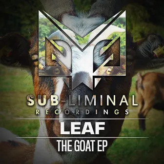 The Goat by Leaf