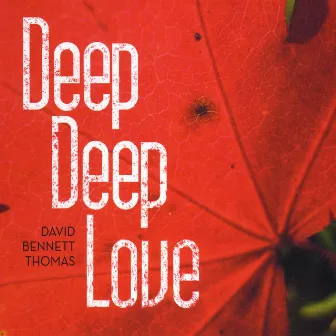 Deep, Deep Love by David Bennett Thomas