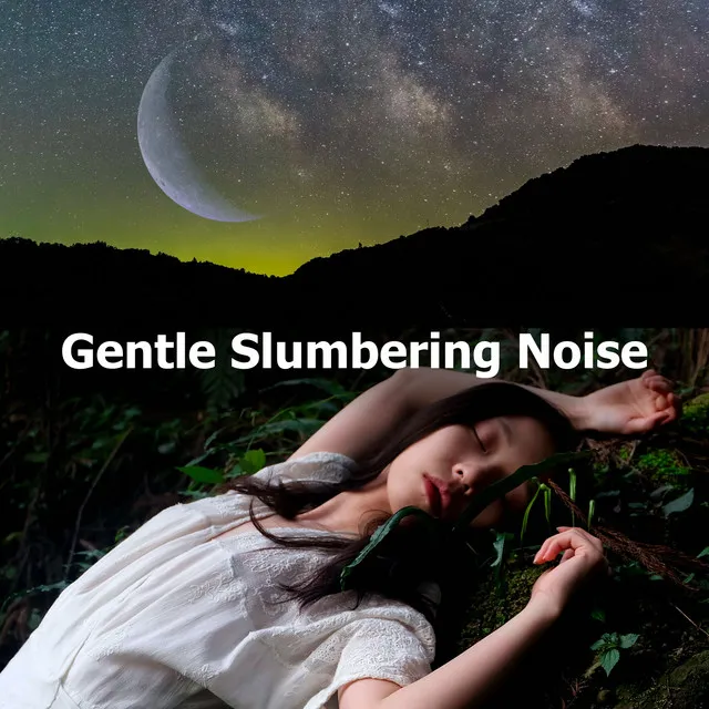 Comforting Noise for Sleeping