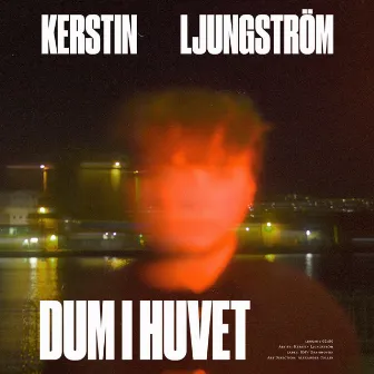 Dum i huvet by Kerstin Ljungström