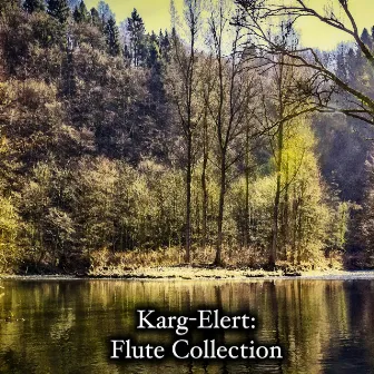 Karg-Elert: Flute Collection by Old Springfield Ensemble