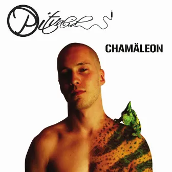 Chamäleon by Pitvalid