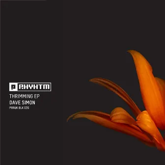 Thrimming EP by Dave Simon