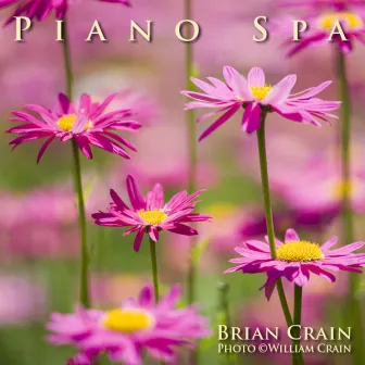 Piano Spa Music by 1 Hour Music