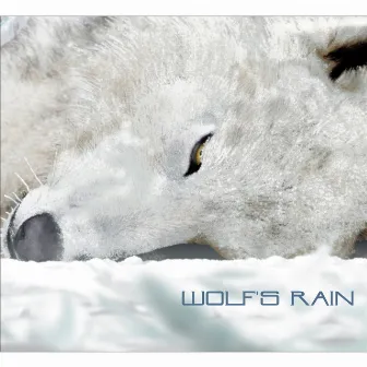 WOLF'S RAIN by Yoko Kanno