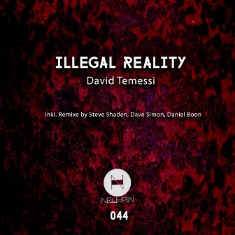 Illegal Reality by David Temessi