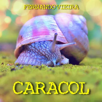 Caracol by Fernando Vieira